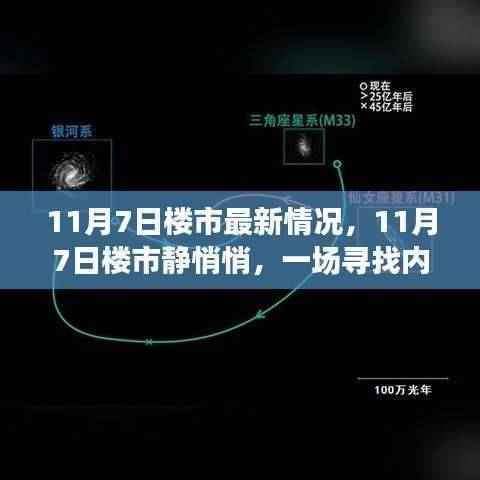 寻找内心平静,11月7日楼市最新动态与逃离之旅