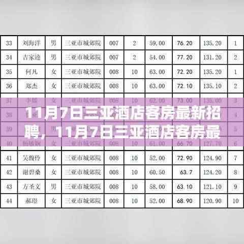 三亚酒店客房最新招聘全面评测与介绍