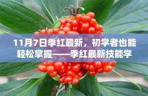 季红最新技能学习全攻略,零基础也能轻松上手(11月7日版)