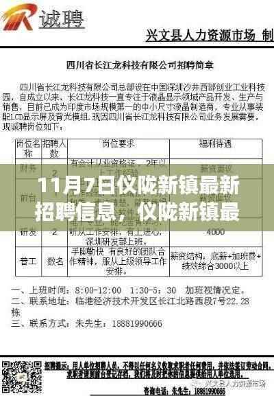 11月7日仪陇新镇最新招聘信息,职场人的新选择,机遇与挑战并存的机遇