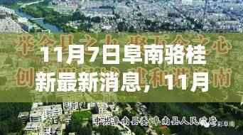 阜南骆桂新励志故事,变化中的学习与自信成就之源