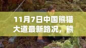 中国熊猫大道最新路况揭秘,绿色旅行,探寻内心平静的旅程