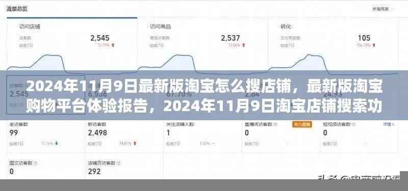 淘宝最新版购物平台体验报告，店铺搜索功能详解与操作指南（2024年11月）