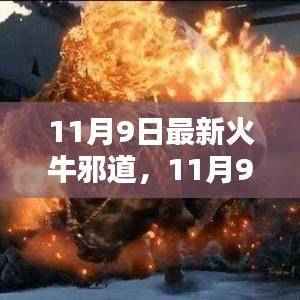 11月9日火牛邪道产品全面评测与介绍,最新资讯一网打尽