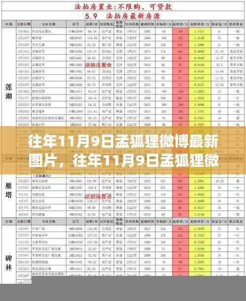 社交媒体时代孟狐狸微博影响力分析,最新图片传播与个人影响力探讨
