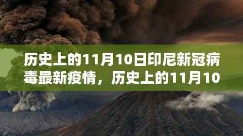 印尼历史上的11月10日新冠病毒疫情详解与防控指南,最新疫情及防控措施解读