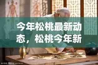 松桃今年最新发展动态,多元视角的探讨与不可忽视的发展细节分析