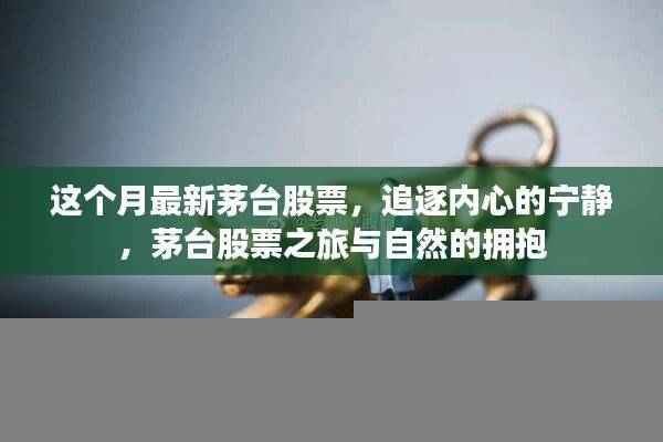 追逐内心的宁静,茅台股票之旅与自然的拥抱——最新市场动态分析
