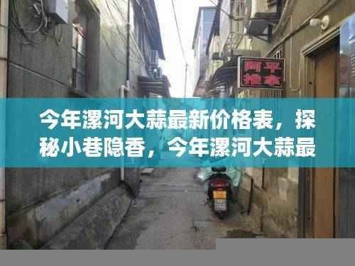 今年漯河大蒜最新价格表,小巷隐香独特风味小店探秘之旅