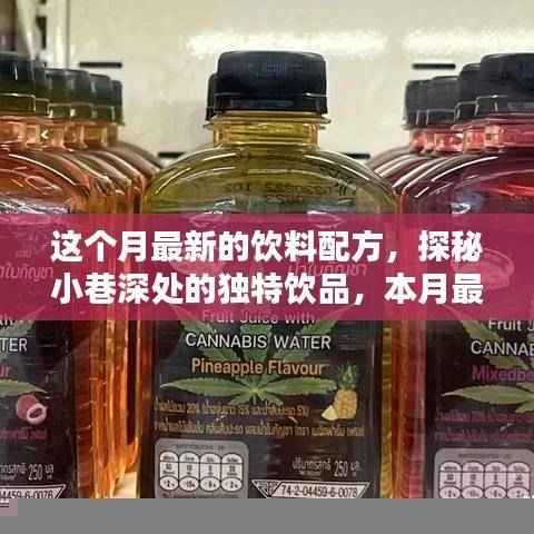 本月小巷深处的独特饮品探秘,惊艳味蕾的新饮料配方出炉!