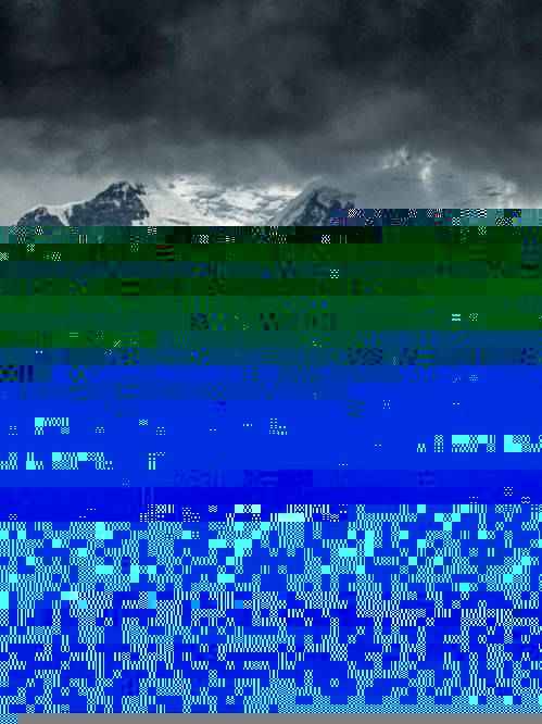 今年锌行情下的心灵探寻,自然美景与内心平静的交织之旅