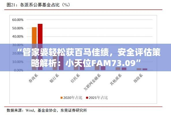 “管家婆轻松获百马佳绩,安全评估策略解析:小天位FAM73.09”