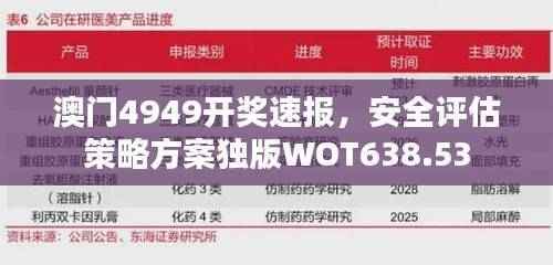 澳门4949开奖速报,安全评估策略方案独版WOT638.53