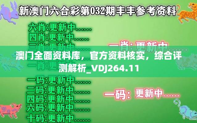澳门全面资料库,官方资料核实,综合评测解析_VDJ264.11