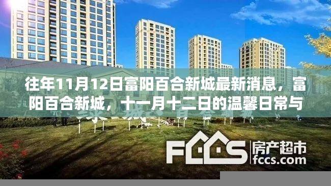 富阳百合新城十一月十二日最新动态,温馨日常与深厚友情的见证