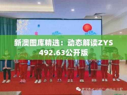 新澳图库精选:动态解读ZYS492.63公开版