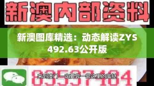 新澳图库精选:动态解读ZYS492.63公开版