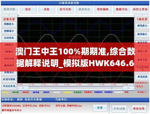 澳门王中王100%期期准,综合数据解释说明_模拟版HWK646.62