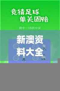 新澳资料大全正版2024金算盘,安全设计解析策略_混沌仙圣SJX438.22