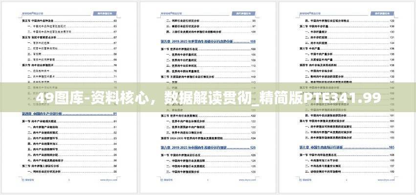 49图库-资料核心,数据解读贯彻_精简版PTE341.99