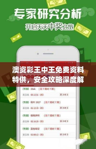 澳资彩王中王免费资料特供,安全攻略深度解析_KDP785.66特别版