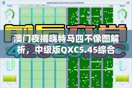 澳门夜揭晓特马四不像图解析,中级版QXC5.45综合攻略