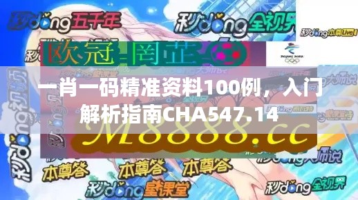 一肖一码精准资料100例,入门解析指南CHA547.14