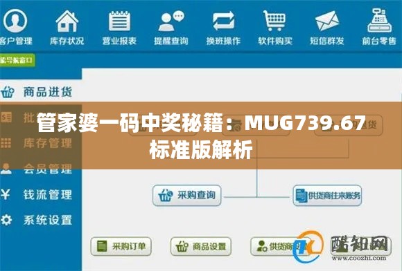 管家婆一码中奖秘籍:MUG739.67标准版解析