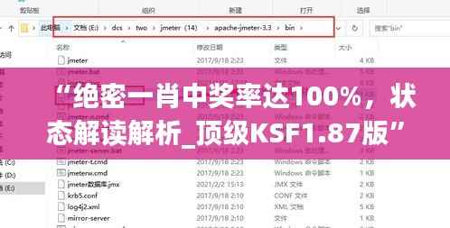 “绝密一肖中奖率达100%,状态解读解析_顶级KSF1.87版”