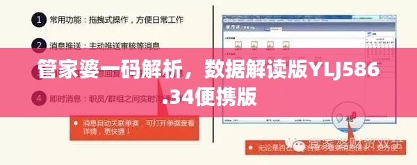 管家婆一码解析,数据解读版YLJ586.34便携版