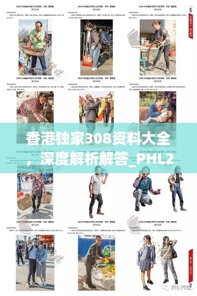 香港独家308资料大全,深度解析解答_PHL285.66专版
