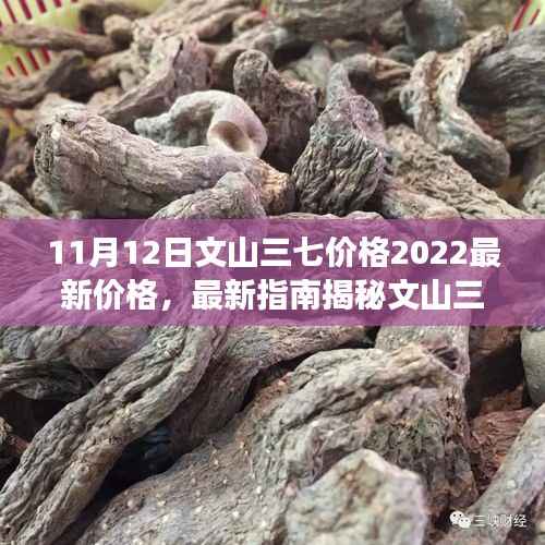 揭秘文山三七市场最新价格指南,掌握最新行情,轻松应对购买决策(初学者与进阶用户通用)