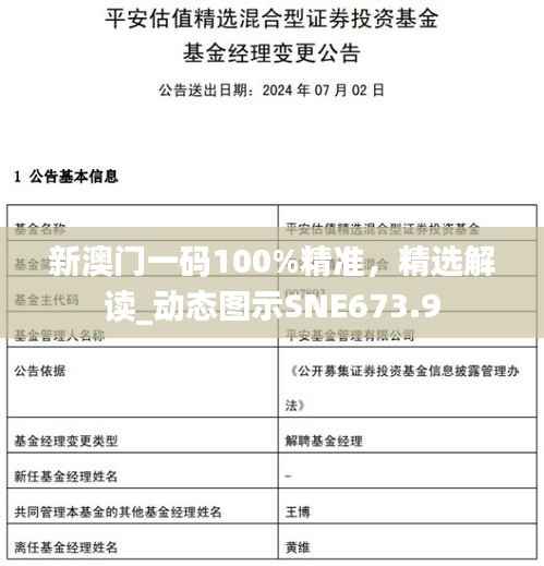 新澳门一码100%精准,精选解读_动态图示SNE673.9