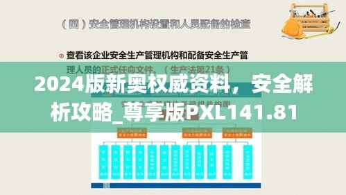 2024版新奥权威资料,安全解析攻略_尊享版PXL141.81