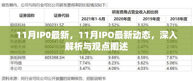 深度解析与观点阐述,11月IPO最新动态及趋势展望