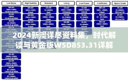 2024新澳详尽资料集，时代解读与黄金版WSD853.31详解