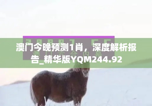 澳门今晚预测1肖,深度解析报告_精华版YQM244.92