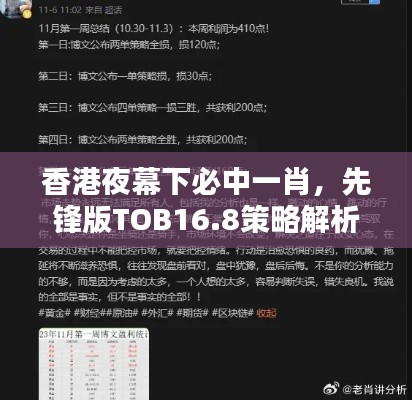 香港夜幕下必中一肖,先锋版TOB16.8策略解析