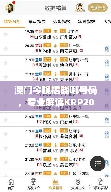 澳门今晚揭晓哪号码，专业解读KRP206.08号码预测