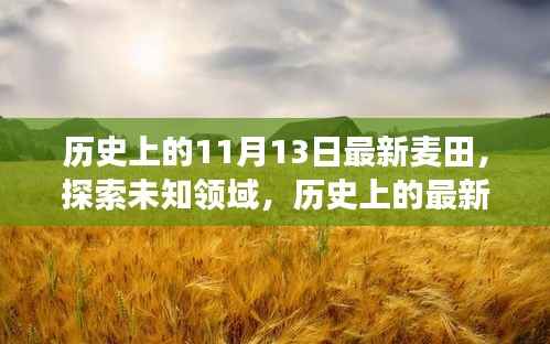 揭秘未知领域,历史上的麦田探索之旅(适合初学者与进阶用户)