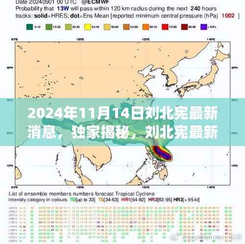 独家揭秘,刘北宪最新动态与深度解读——2024年11月14日最新消息