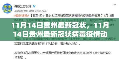 11月14日贵州冠状病毒疫情动态更新与防控措施分析