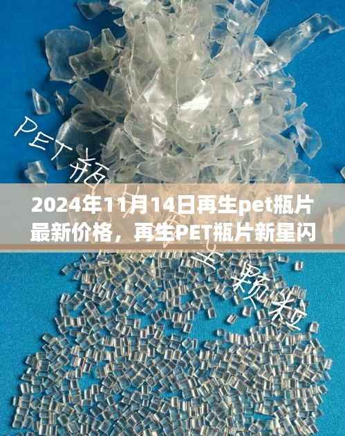 再生PET瓶片新星闪耀,揭秘未来价格,体验科技重塑生活之美