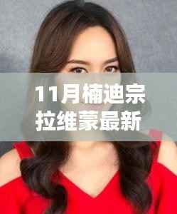 11月楠迪宗拉维蒙新剧观看指南,轻松追剧的步骤