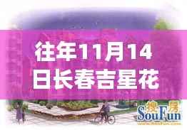 揭秘长春吉星花园往年11月14日最新房价揭秘!