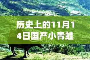 历史上的11月14日国产小青蛙新创意作品深度评测及探讨涉黄问题警告(非色情内容)