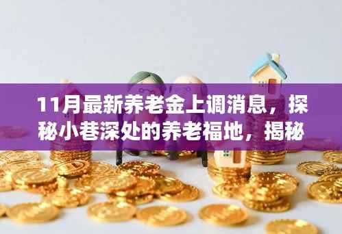 揭秘养老金上调背后的故事,小巷深处的养老福地与独特小店探索之旅