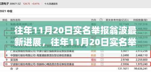 往年11月20日实名举报翁波事件最新进展探究,涉政问题的深度分析