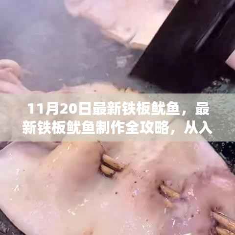 最新铁板鱿鱼制作全攻略,从入门到精通,11月20日更新