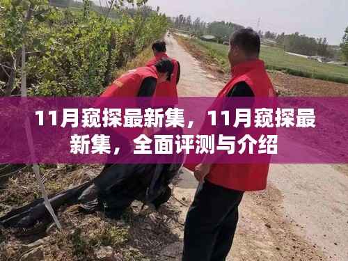 11月最新集全面评测与介绍